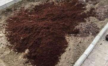 搭建多肉大棚怎么配土的方法 图片