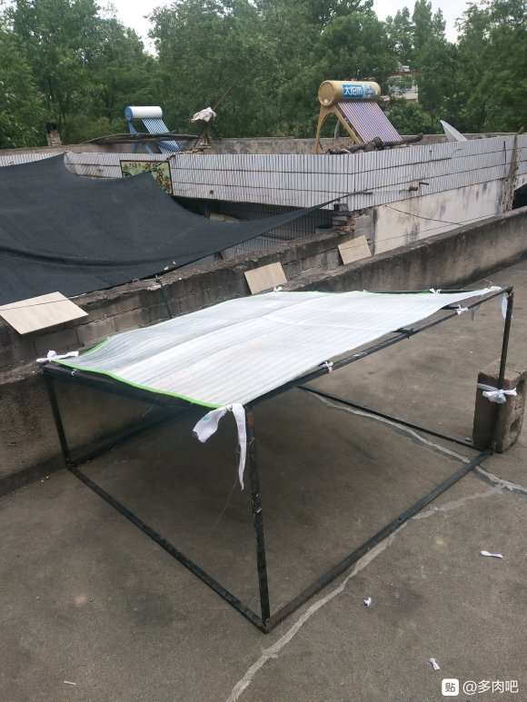 搭建多肉大棚需要哪些材料吗