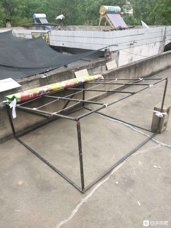 搭建多肉大棚需要哪些材料吗