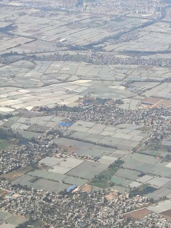 昆明 全是多肉大棚