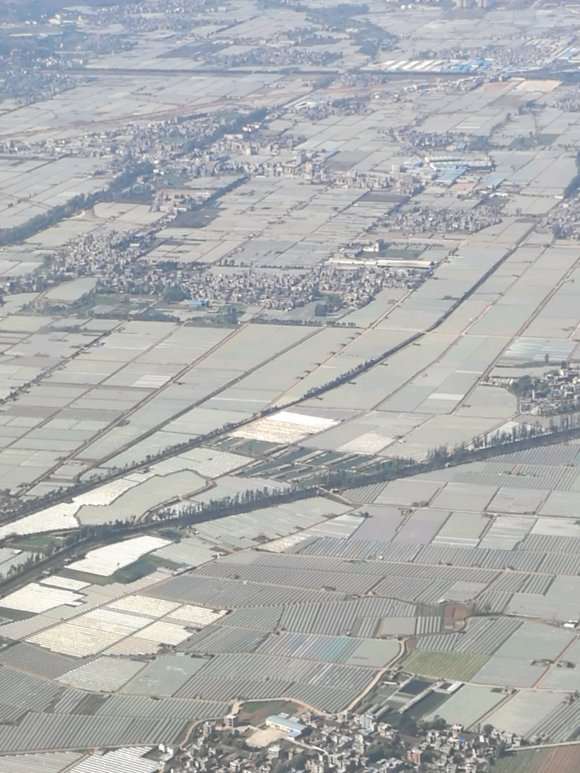 今天去昆明 去那是多肉大棚