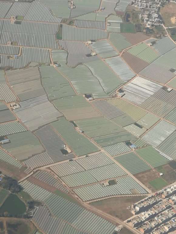 今天去昆明 去那是多肉大棚