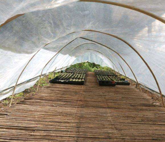 怎么搭建十二卷多肉大棚的方法