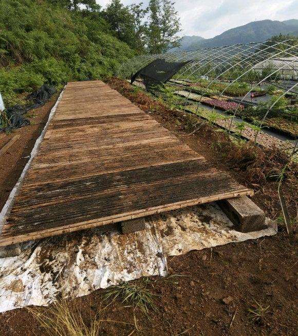 怎么搭建十二卷多肉大棚的方法