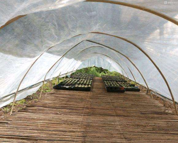 怎么搭建十二卷多肉大棚的方法