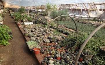 成都多肉大棚有哪些 地址在哪里