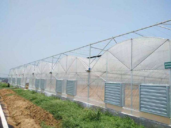 赣州哪里有多肉大棚 求地址