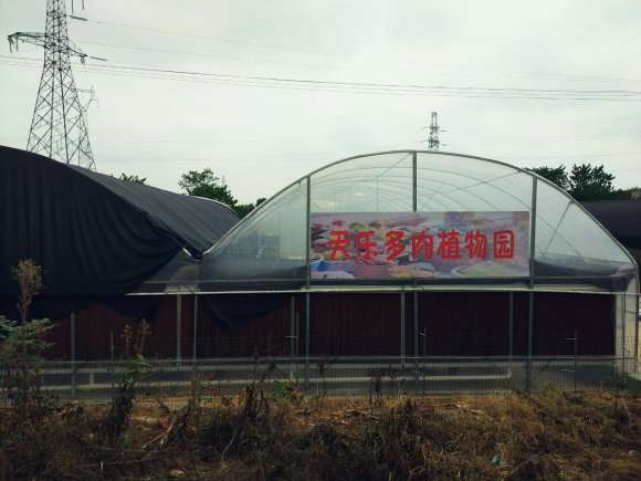 湘潭新开了家多肉大棚 地址在哪里