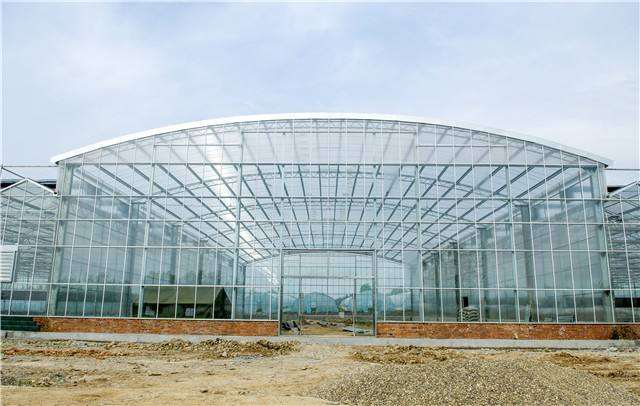 北京哪有多肉大棚 地址在哪里