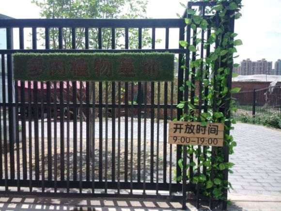 参观北京蟹岛roop多肉大棚 