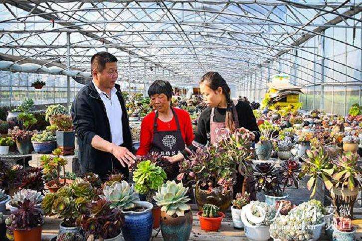 温江多肉大棚在哪里 求地址