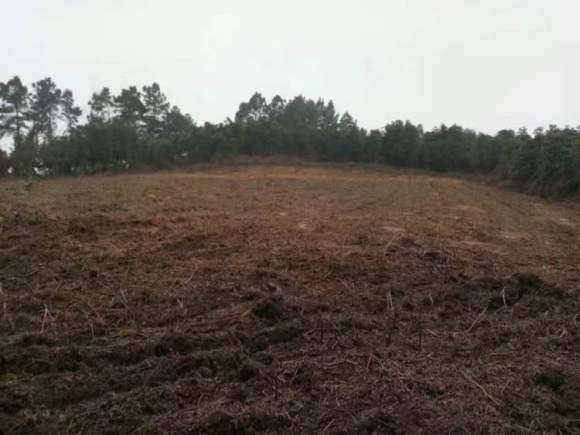 我在宜宾搭建多肉大棚的过程