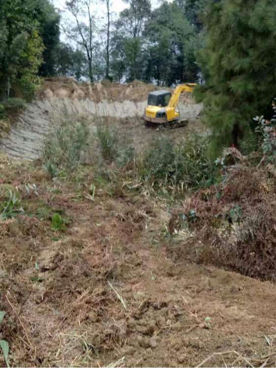 我在宜宾搭建多肉大棚的过程