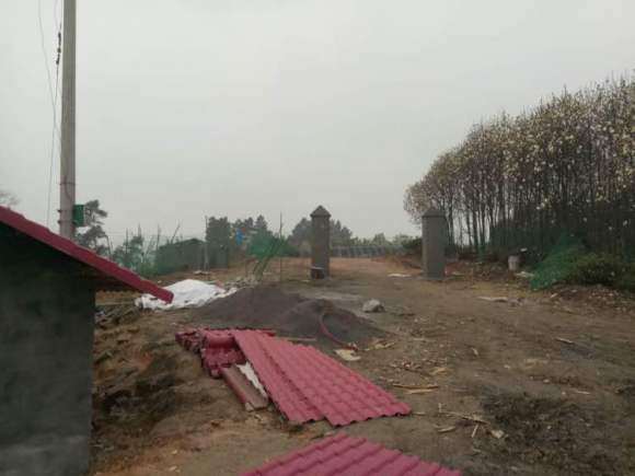 我在宜宾搭建多肉大棚的过程