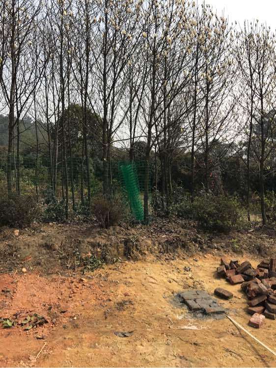 我在宜宾搭建多肉大棚的过程