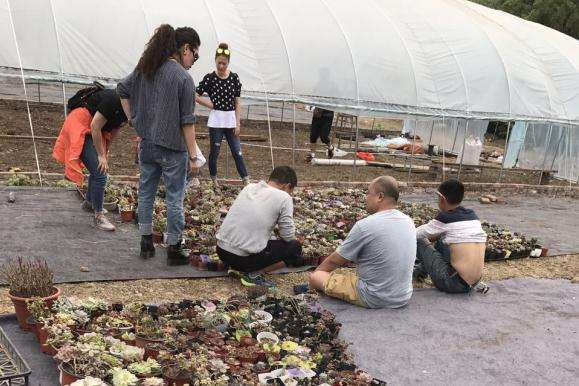 我在宜宾搭建多肉大棚的过程