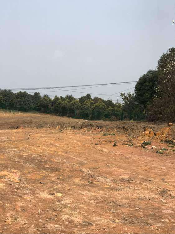 我在宜宾搭建多肉大棚的过程