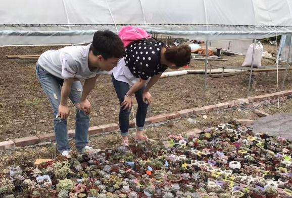 我在宜宾搭建多肉大棚的过程