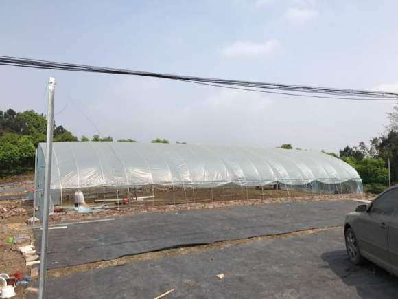 我在宜宾搭建多肉大棚的过程