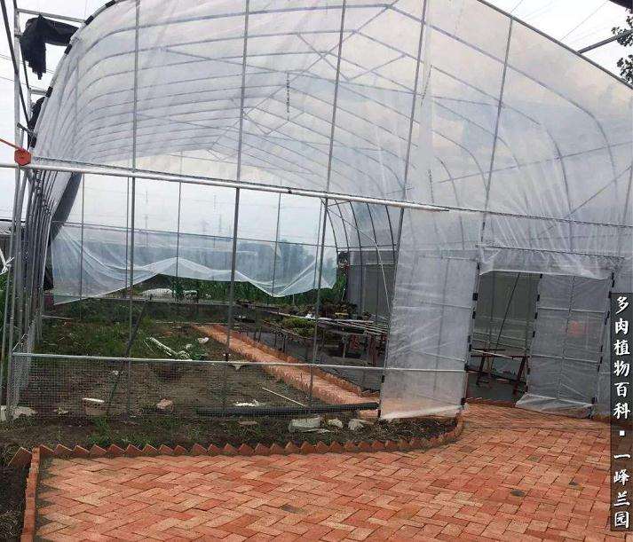 搭建多肉大棚用什么薄膜最好