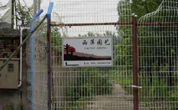 盘锦有没有的多肉植物大棚 地址在哪里