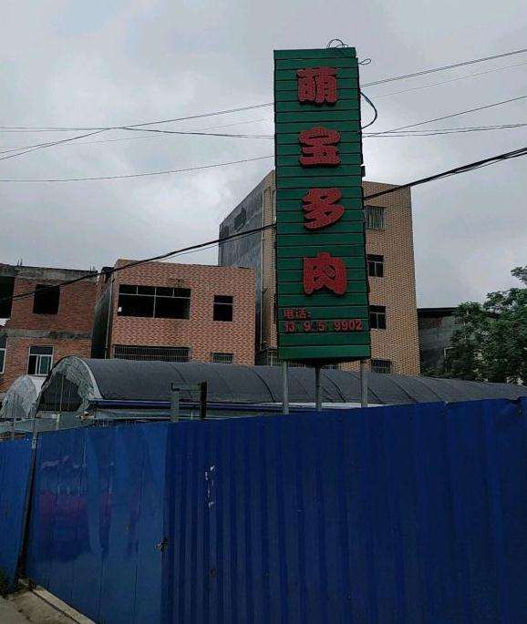 惠州居然有一个萌宝多肉植物园大棚