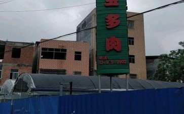 惠州居然有一个萌宝多肉植物园大棚