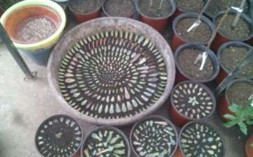 求问贵州多肉大棚的地址在哪里