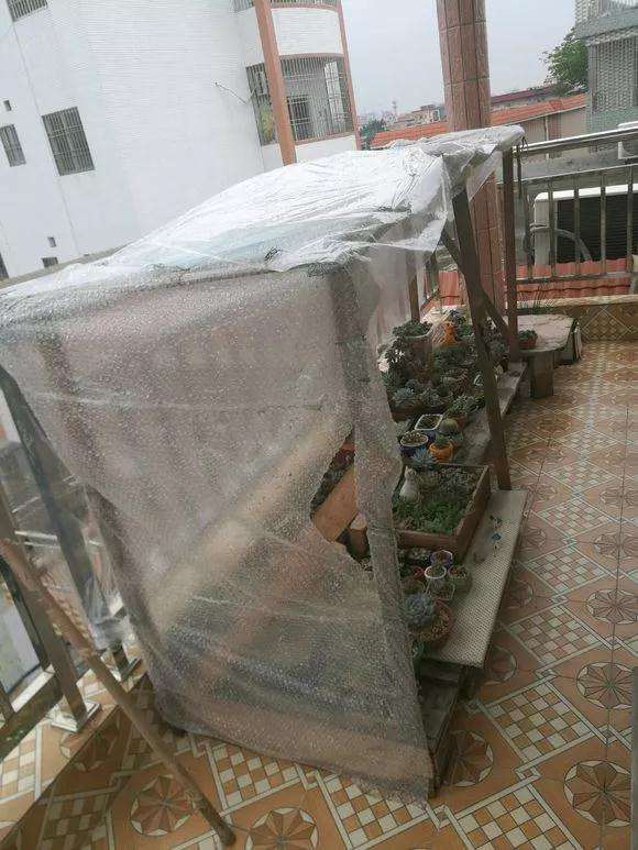 多肉如何遮雨的3个方法 看看