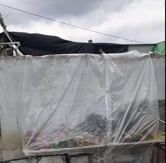 多肉如何遮雨的3个方法 看看