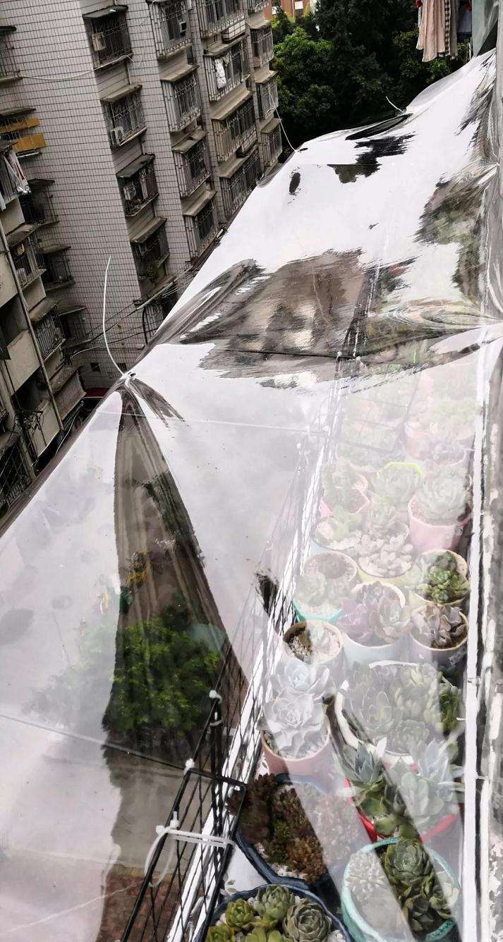 多肉如何遮雨的3个方法 看看