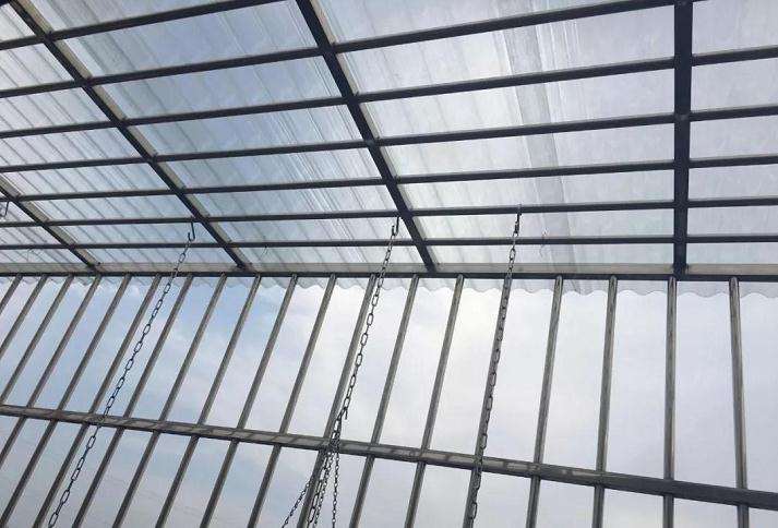 多肉如何遮雨的3个方法 看看