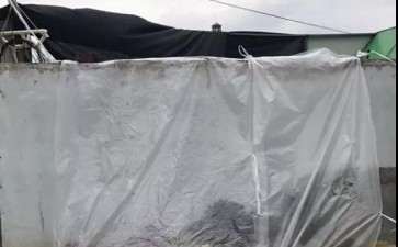 多肉如何遮雨的3个方法 看看