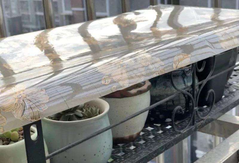 多肉植物怎么防鸟的3个方法