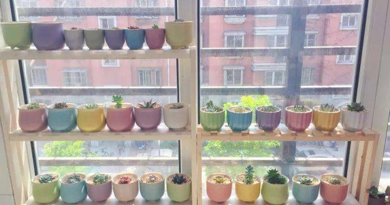 阴雨天露养 怎么防止泡水烂根