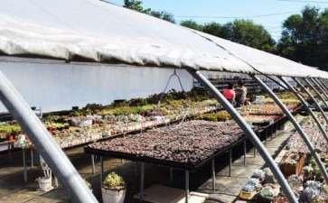 丰台多肉大棚在哪里 求地址