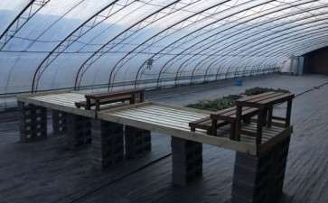 北京海淀西二旗西北旺多肉大棚的地址