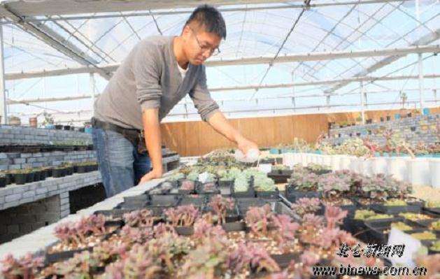 成都周边哪里有多肉大棚 求地址