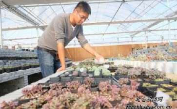 成都周边哪里有多肉大棚 求地址