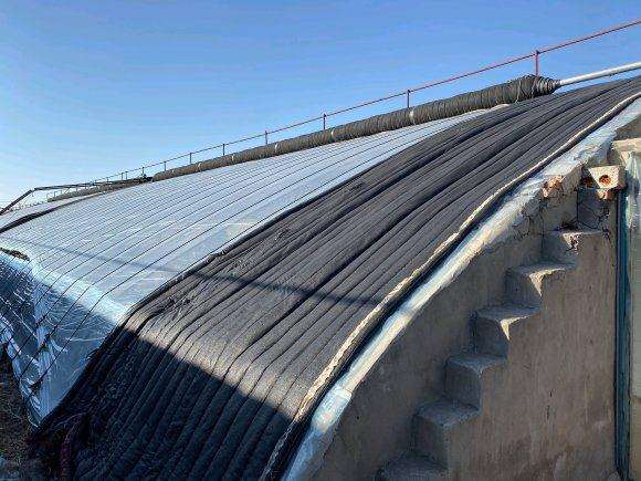 沈阳多肉大棚提供寄养