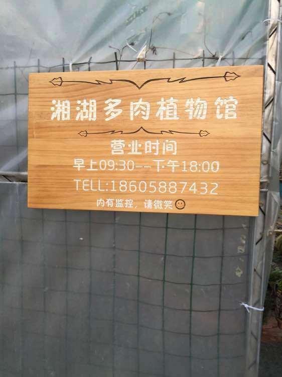 参观萧山多肉大棚 怎么样 图片