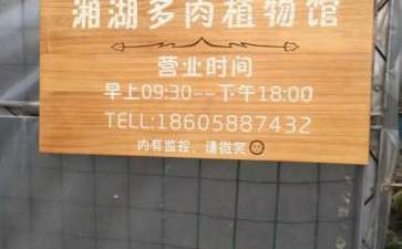 参观萧山多肉大棚 可以吗 图片