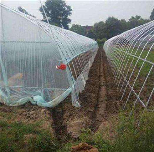 贵阳哪里有多肉大棚呢 有地址