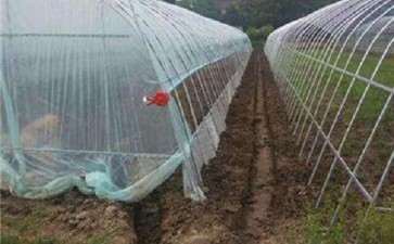 贵阳哪里有多肉大棚呢 有地址吗