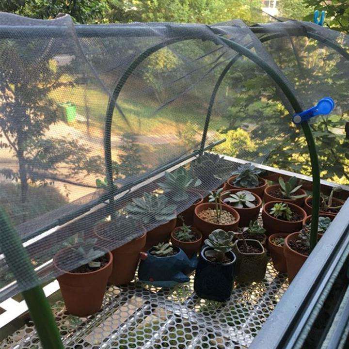 多肉大棚膜 利得膜要多少S