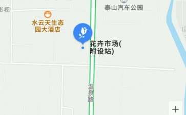 泰安多肉大棚的地址在哪里 求告知