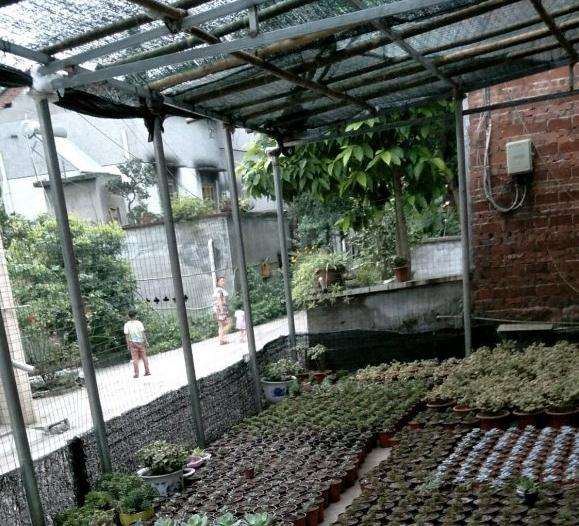 北京密云为花忙多肉基地在哪里