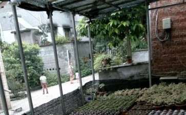 北京密云为花忙多肉基地在哪里