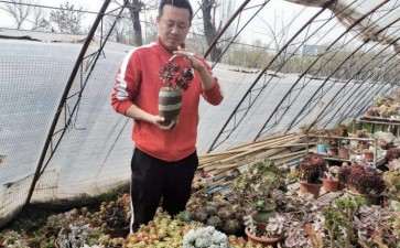 成都哪里有多肉大棚 求告知地址