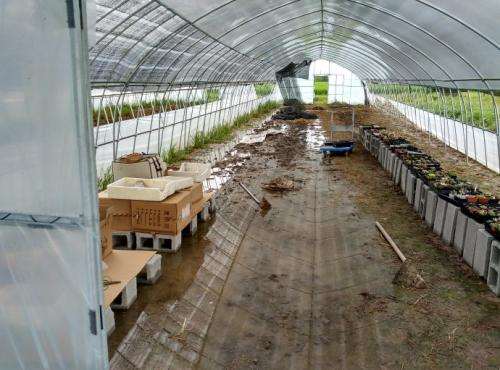 台州比较好的多肉大棚哪里有